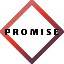 فندک پرومیس -  فندک مارکت 